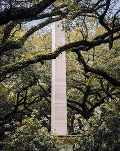 an obelisk in the middle of trees with no leaves on it's sides