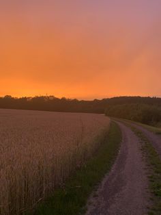 the sun is setting over a wheat field with a dirt road leading to it and trees in the distance