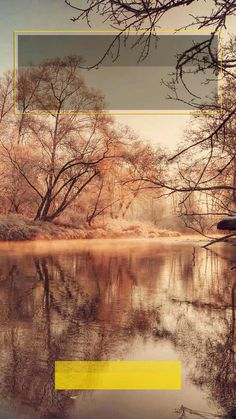 a lake surrounded by trees with yellow frames