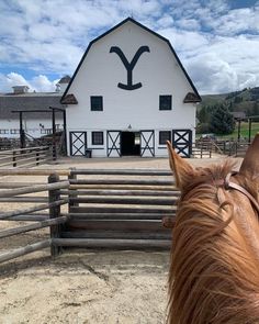 a brown horse standing in front of a white barn on a dirt field next to a wooden fence