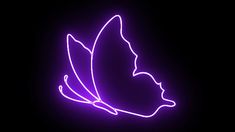 a purple butterfly is glowing in the dark