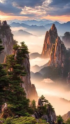 the mountains are covered in fog and clouds with pine trees on each mountain top,