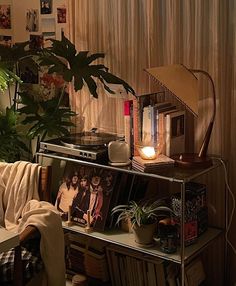 a living room filled with lots of furniture and plants on top of a metal shelf