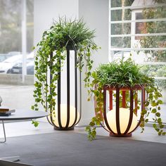 two planters sitting next to each other near a window