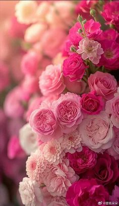 pink and white flowers are in the foreground