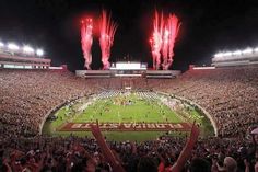 a stadium filled with lots of people and fireworks