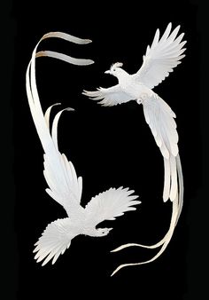 two white birds flying next to each other on a black background with long tails in the air