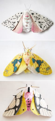 three different types of moths with spots and dots on their wings, one is pink, the other is yellow