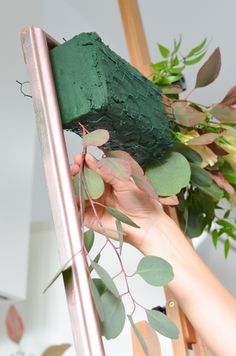 a person is holding up a green object with leaves on it and another plant in the background