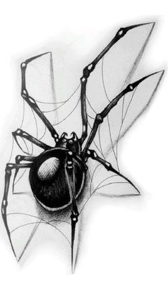 a black and white drawing of a spider