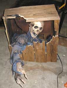 a fake skeleton sitting in a wooden box with its head sticking out from it's side