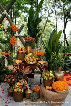 there are many different types of flowers and plants on the table in front of each other