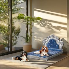 two dogs laying on top of a blue bed next to a potted palm tree