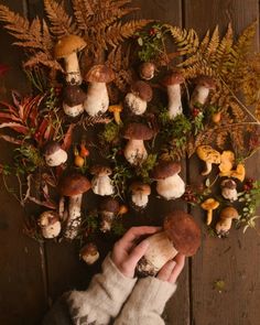 a person holding mushrooms in their hands on a wooden surface with ferns and other plants