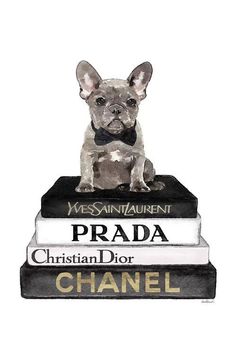 a small dog sitting on top of books with the words prada written below it