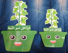 two potted plants with faces painted on them, one is green and the other is blue