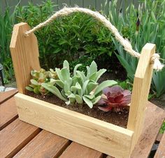 a wooden planter filled with succulents on top of a wooden bench