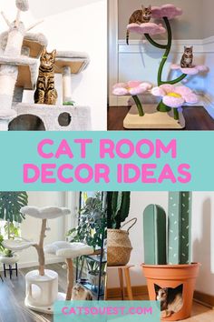 cat room decor ideas that are easy to make and great for any kitty in the house