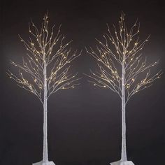 two white trees with lights on them