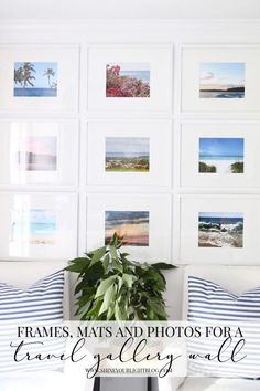 a living room with pictures on the wall and a potted plant next to it