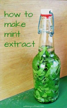 a glass bottle filled with green leaves sitting on top of a table