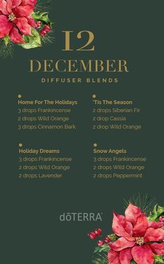 dōTERRA Essential Oils USA on Twitter: "Aaahhhh....nothing quite like the smell of the holidays ☺️ 🎄 Enjoy these December diffuser blends all month long! https://t.co/nt85jmXIhx… https://t.co/sRZJi8HVtA" Fall Essential Oils, Best Essential Oil Diffuser, Doterra Diffuser, Happy December, Essential Oil Blends Recipes