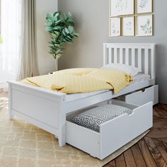 a bed with two drawers underneath it and a plant in the corner next to it