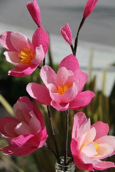 three pink flowers in a clear glass vase