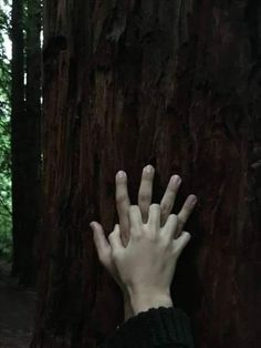 two hands reaching up against a tree in black and white, with only one hand on the ground