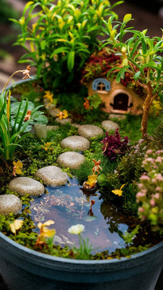 a potted planter filled with water and rocks in the shape of a house