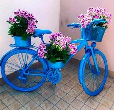 two blue bicycles with flowers in the basket