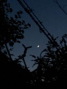 the moon is seen through some trees at night in the sky with no one on it