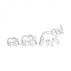 three elephants are walking in the same direction