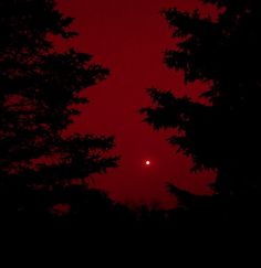 the sun is setting behind some trees in the dark night sky, with only one light visible