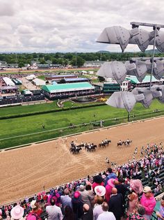 the horse race is being watched by many people