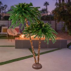 a small palm tree with lights on it