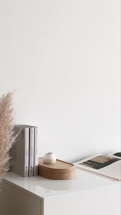 a white shelf with some books and a plant on it