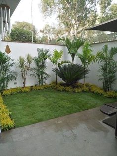 a small backyard with grass and plants in it