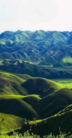 the rolling hills are covered in green grass