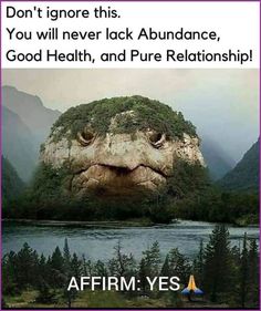 an image of the face of a giant rock with trees around it and mountains in the background