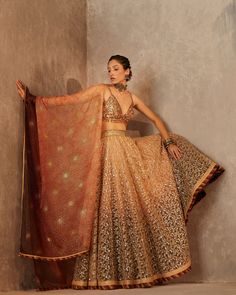 Tulle Lehenga, Gold Lehenga, Glitter Outfit, Delhi Wedding, Lehenga Blouse Designs, Lehenga Blouse, Embroidered Tulle, Desi Wedding, Gold Foil Print