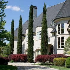 a large house with many trees in front of it