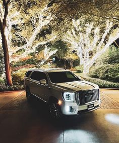 a silver truck parked in front of trees with white lights on it's sides