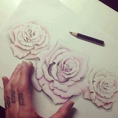 someone is drawing roses with pencils on the paper and it looks like they have been cut