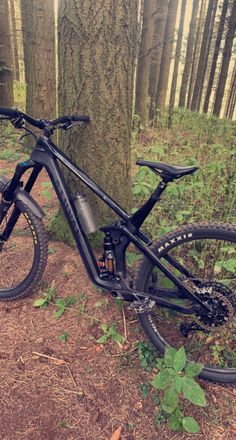 a mountain bike leaning against a tree in the woods