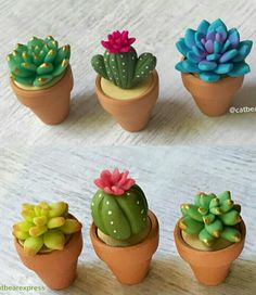 there are many small succulents in clay pots on the table, each with different colors