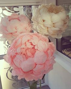 two large pink and white flowers in front of a mirror