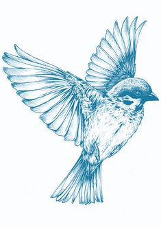 a drawing of a blue bird with its wings spread out and it's head turned to the side