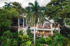 the house is surrounded by trees and greenery