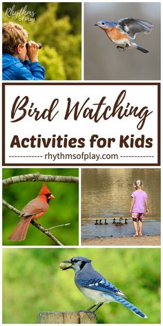 some birds are sitting on a tree branch and the words bird watching activities for kids